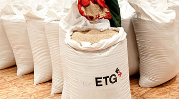 etg-project-image etg-project-image